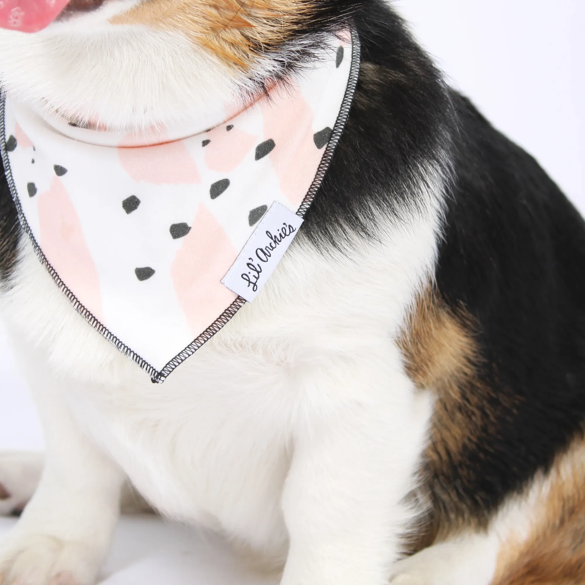 Complete Organic Cotton Dog Bandana Buying Guide for Caring Pet Owners - A Complete Guide
