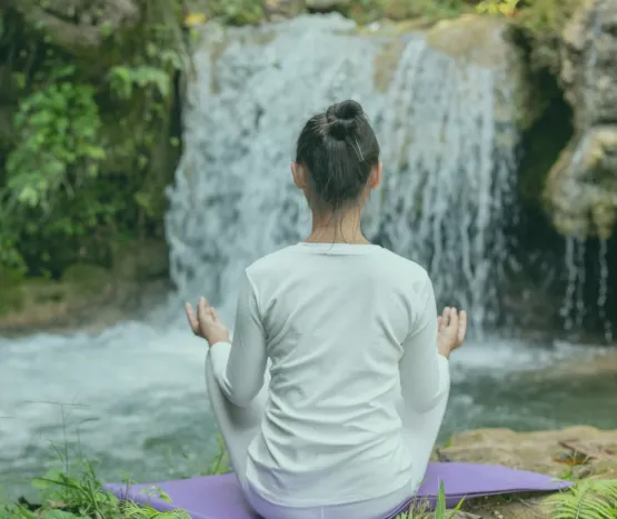 How a Holistic Health Coach Provider Focuses on Root Causes?