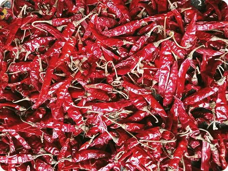 Why Teja S17 Dry Red Chilli Holds Strong Demand in Global Spice Markets