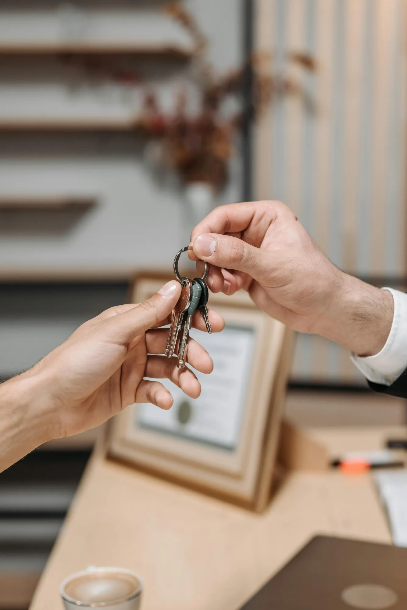 What to Look for Before You Hire a Real Estate Agent