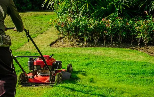 Helpful Expert Tips On Maintaining Proper Lawn Care For Every Homeowner In New Roads, LA