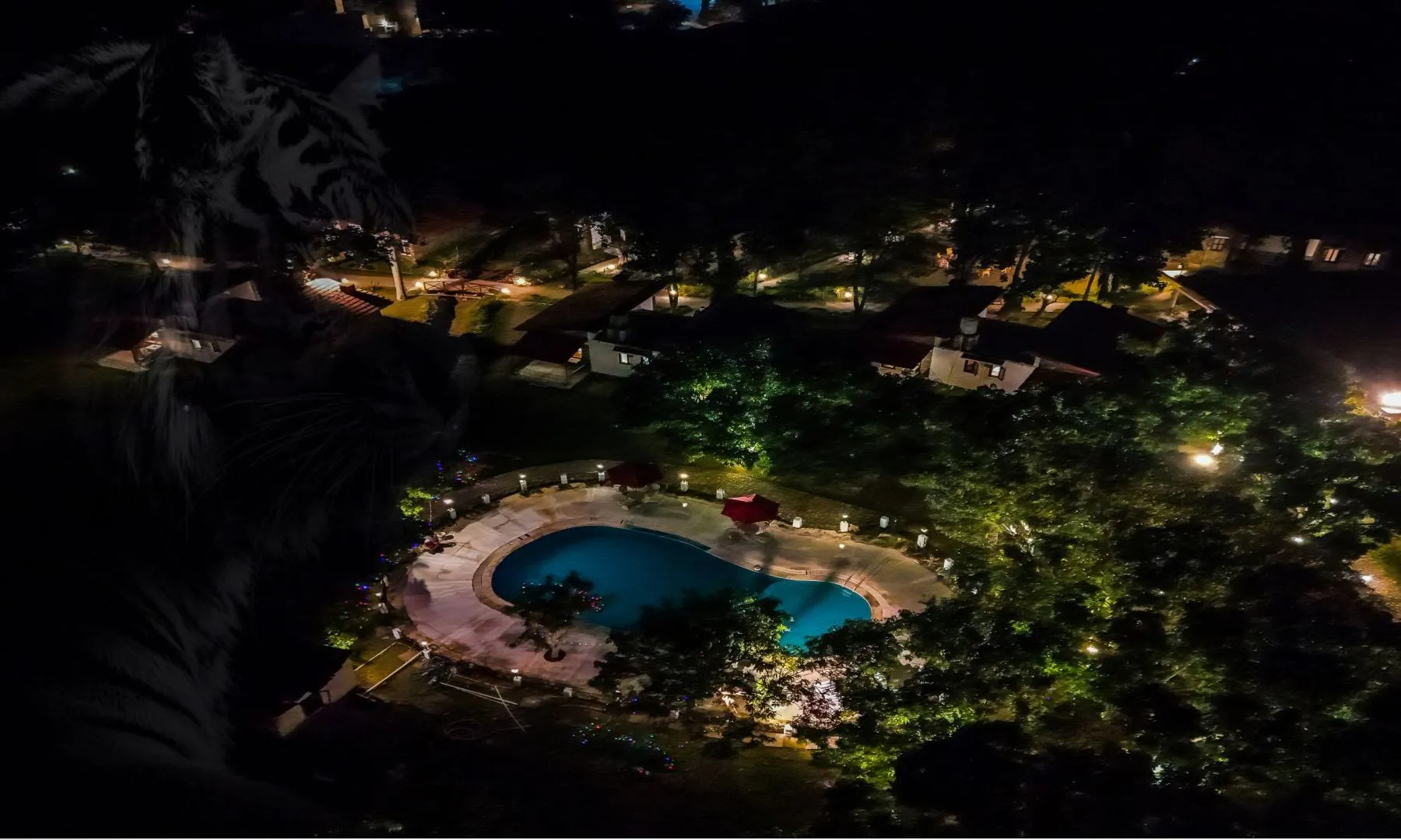 Why Travelers Prefer Best riverside Resorts in Jim Corbett for a Perfect Nature Escape