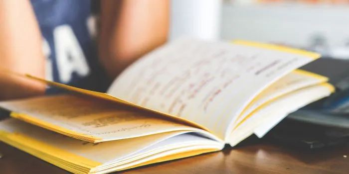 How Essay Writer Help Supports Better Research and Writing