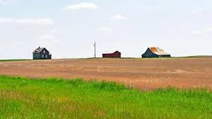 Why Local Market Knowledge Matters in Saskatchewan Farm Real Estate?