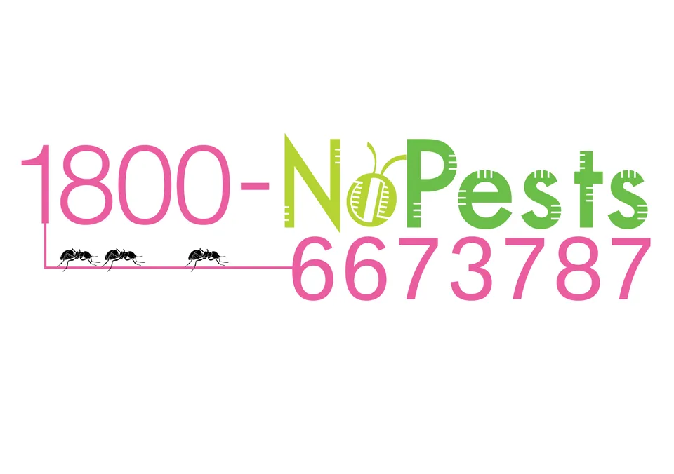 Eco-Friendly Pest Control in Malaysia: The Smarter Choice for Your Home and Family