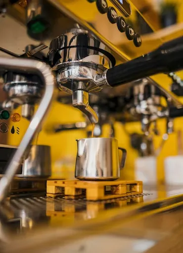 Coffee Bean Dryer Supplier In India: Supporting Quality Coffee Processing