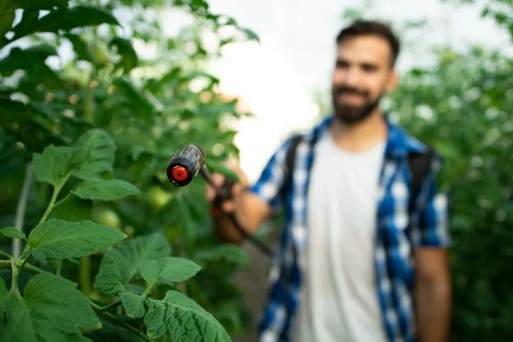 What is Crop Solutions for Agriculture?