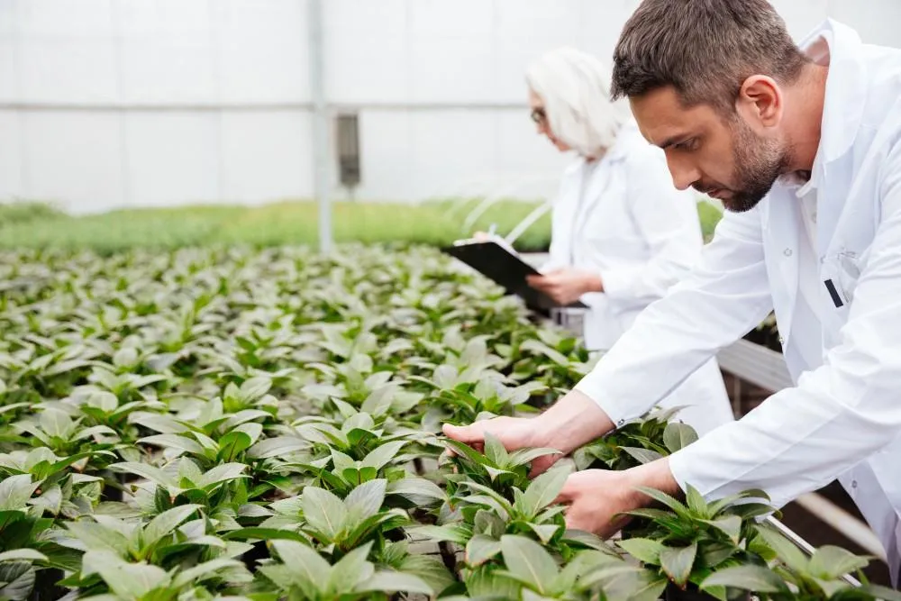 What is Crop Solutions for Agriculture?