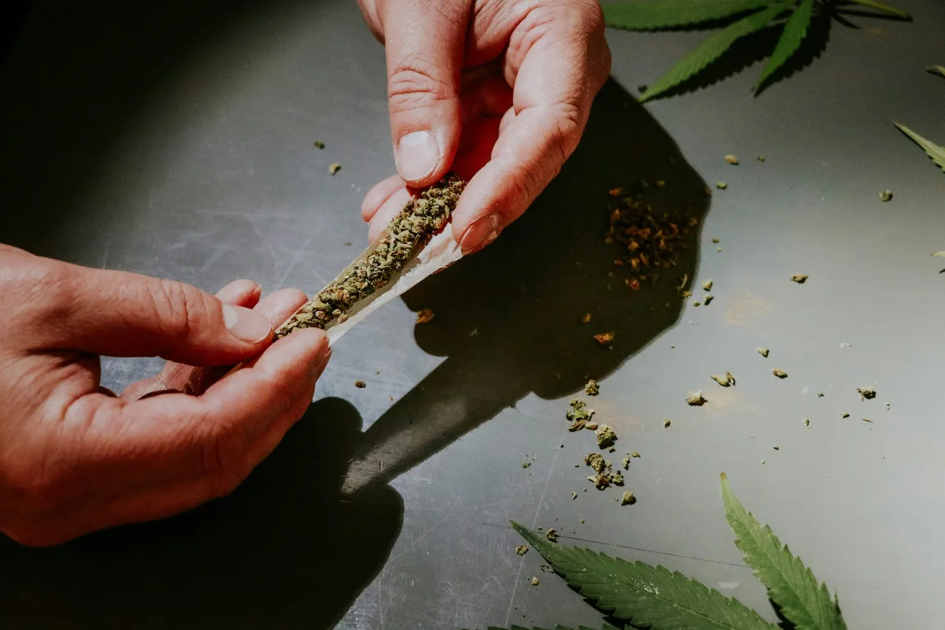The Role of THCa Products in Modern Social Gatherings and Lifestyle Trends