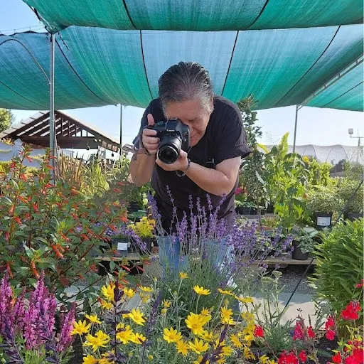 A San Leandro Monarch Butterfly Story: How Local Gardeners Are Helping Monarch Butterflies Survive