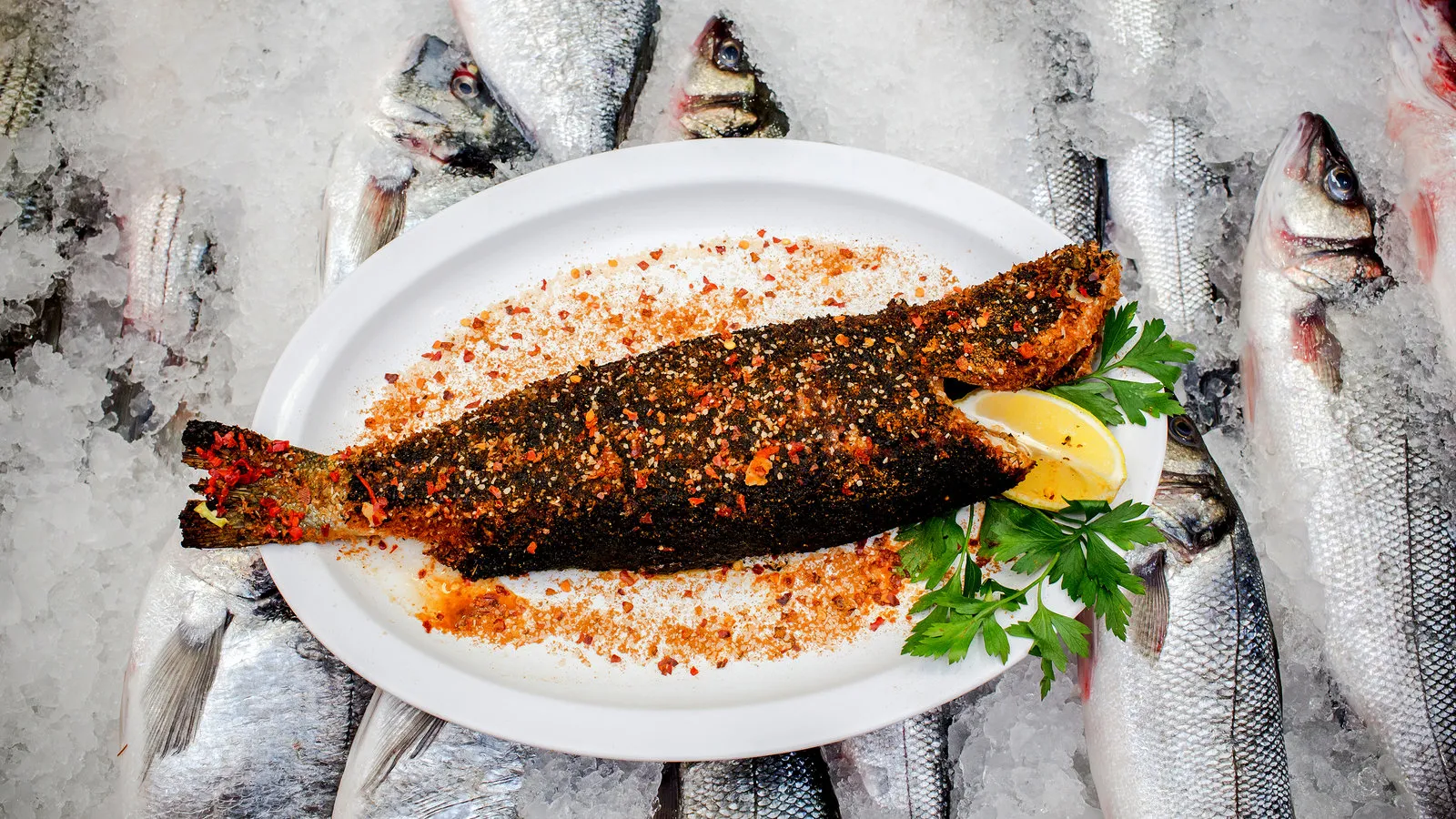 Discover the Rich Flavor of Egyptian Seafood in Astoria