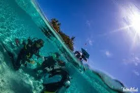 Santa Catalina Panama Diving for Serious Ocean Explorers