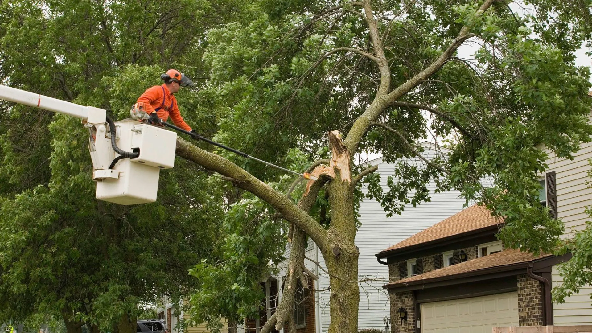 storm damage tree service in Billings