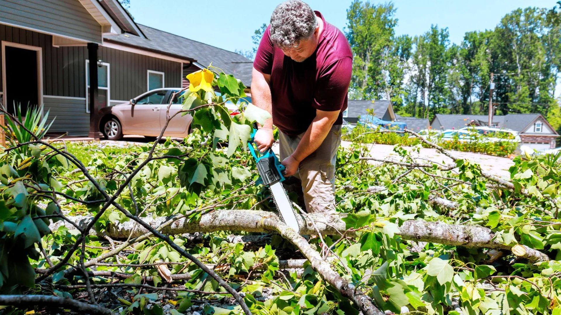 How Storm Damage Tree Service in Billings Protects Homes After High Winds