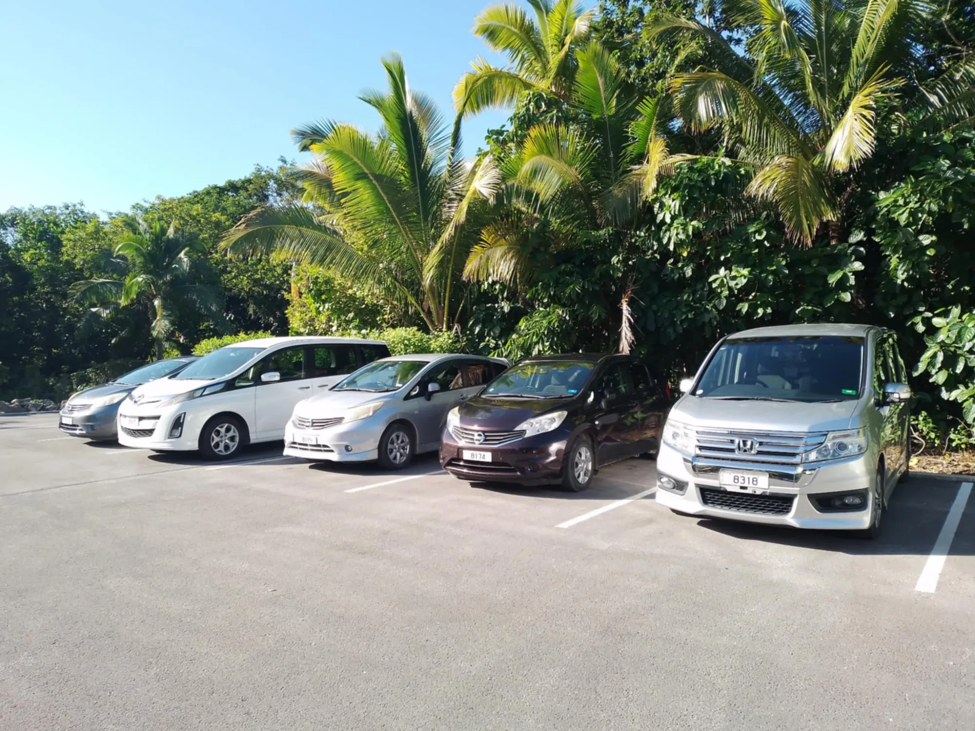 Why Choosing the Right Car Rental in Niue Island Matters