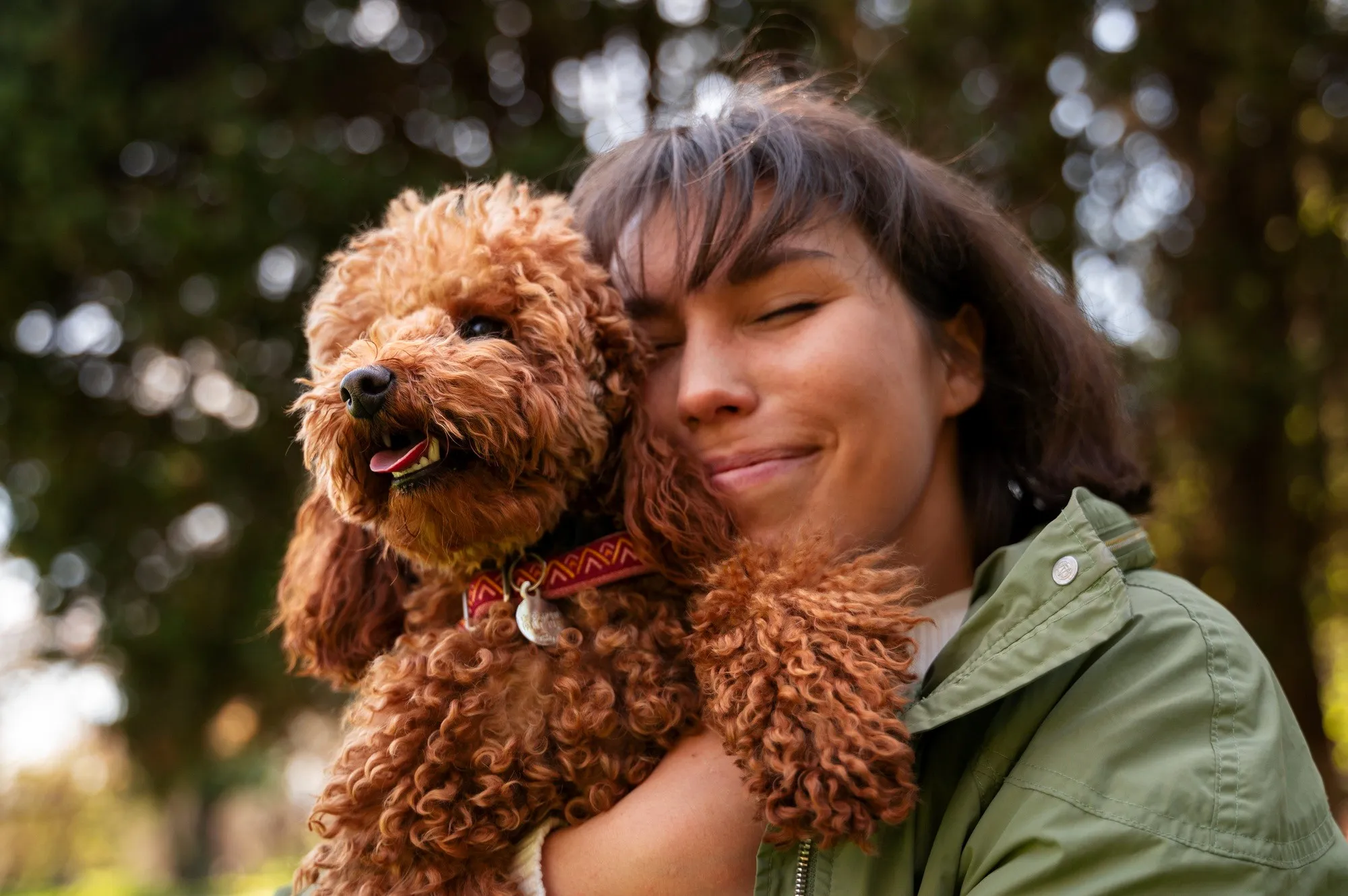 Do Goldendoodles Need Special Care in San Diego?
