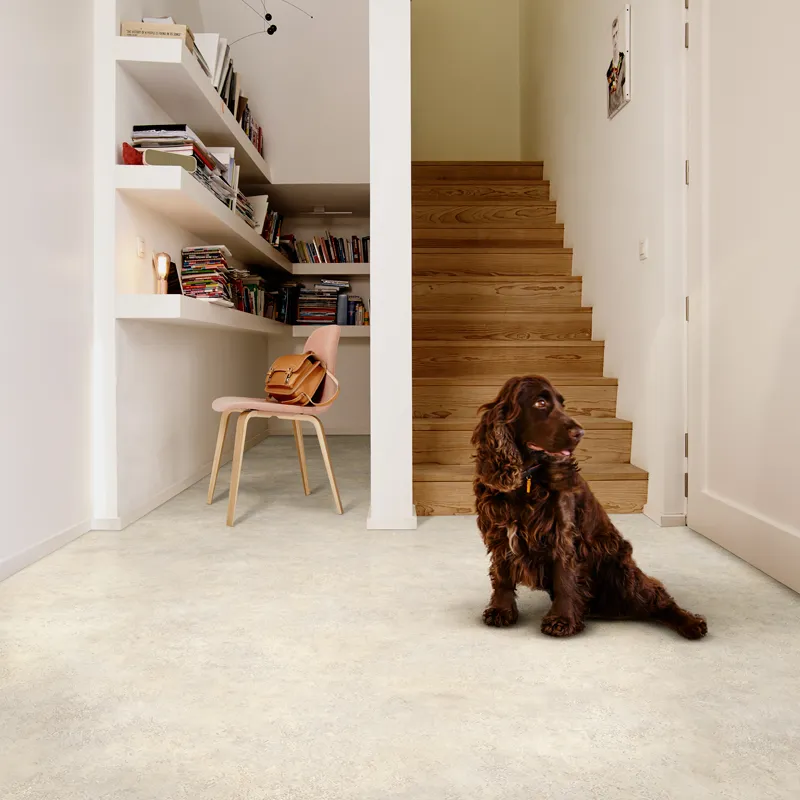Best Flooring for Pets: Carpet vs Vinyl for UK Homes