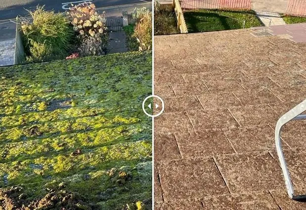 Safe and Effective Roof Moss Removal for Residential Properties