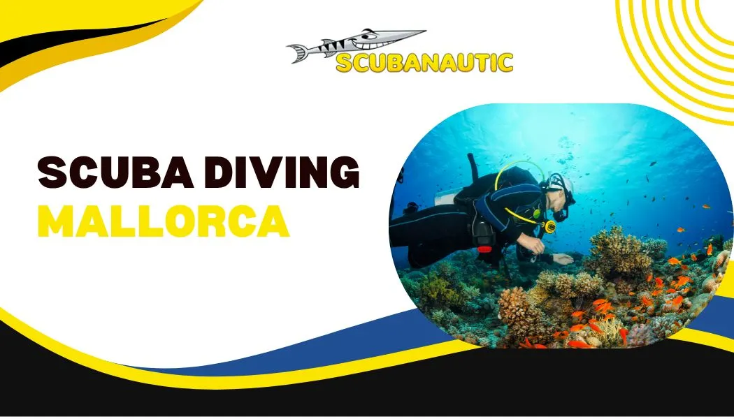 Why Mallorca Is Europe’s Hidden Scuba Diving Paradise