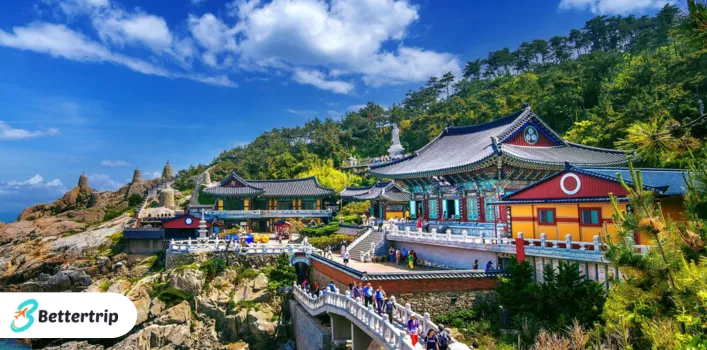 Exploring the World Through Safaris and Japan Travel Experiences