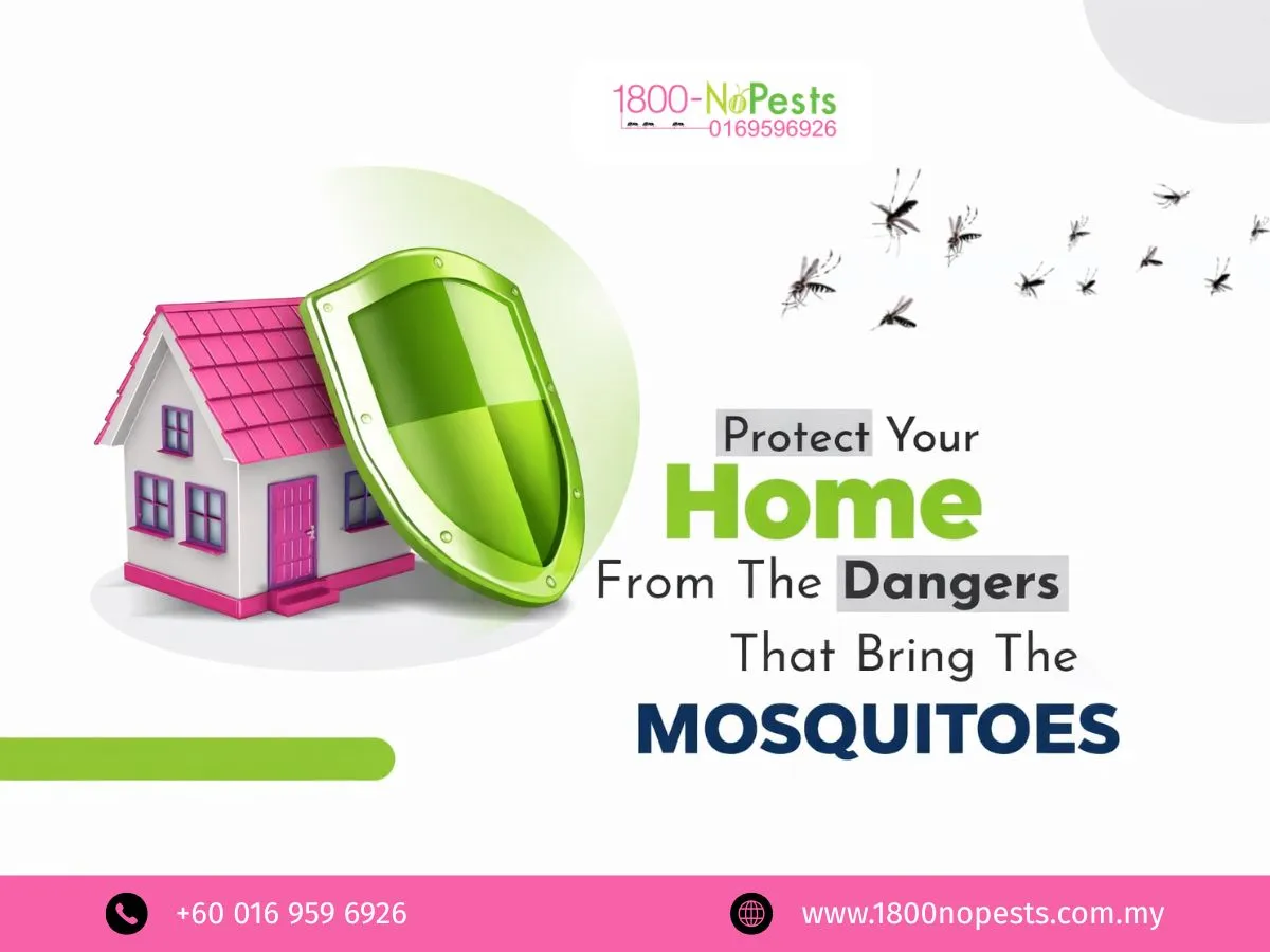 Home mosquito treatment