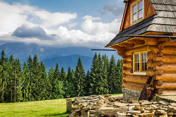 Modern rustic living made possible by skilled log cabin manufacturers