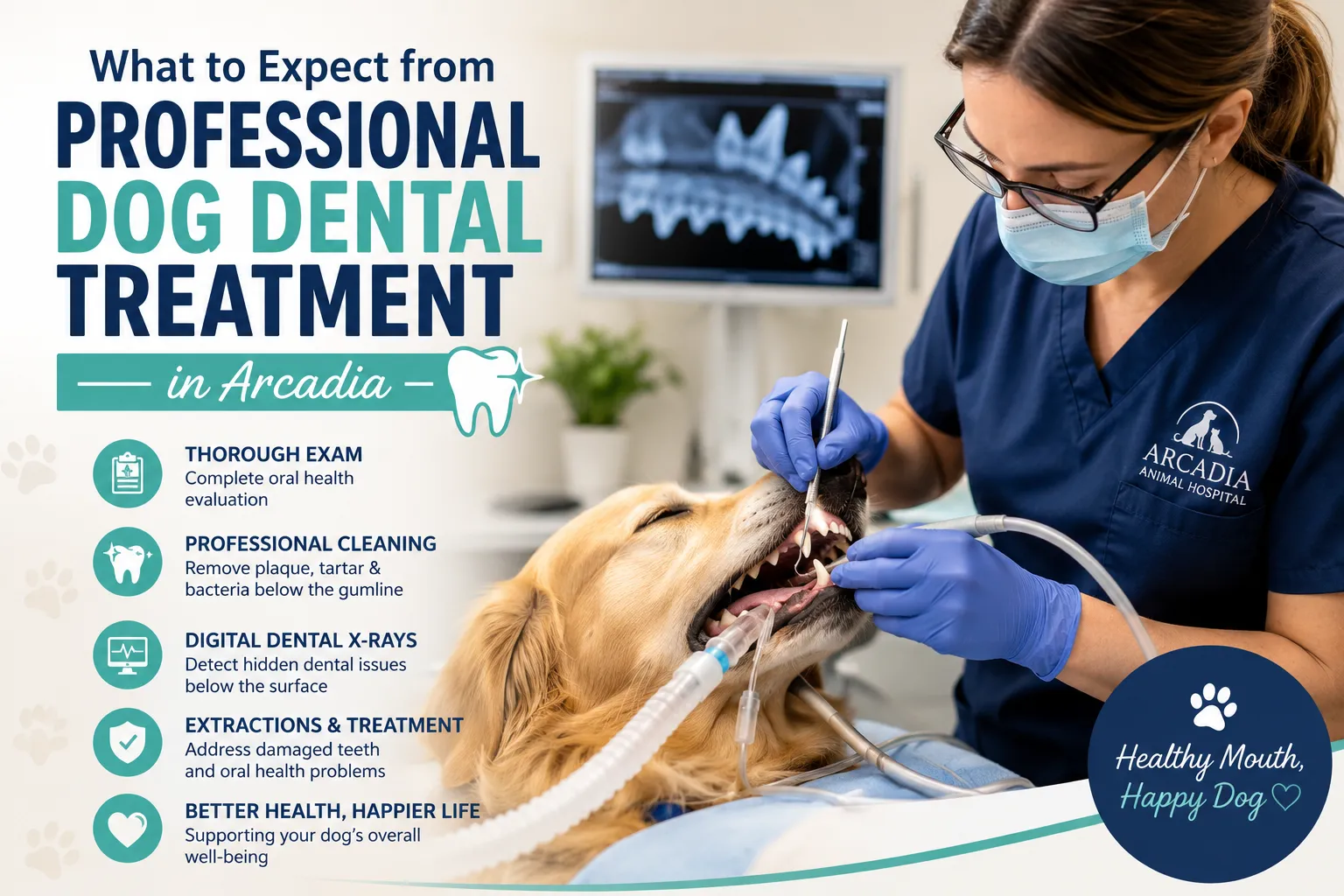 What to Expect from Professional Dog Dental Treatment in Arcadia