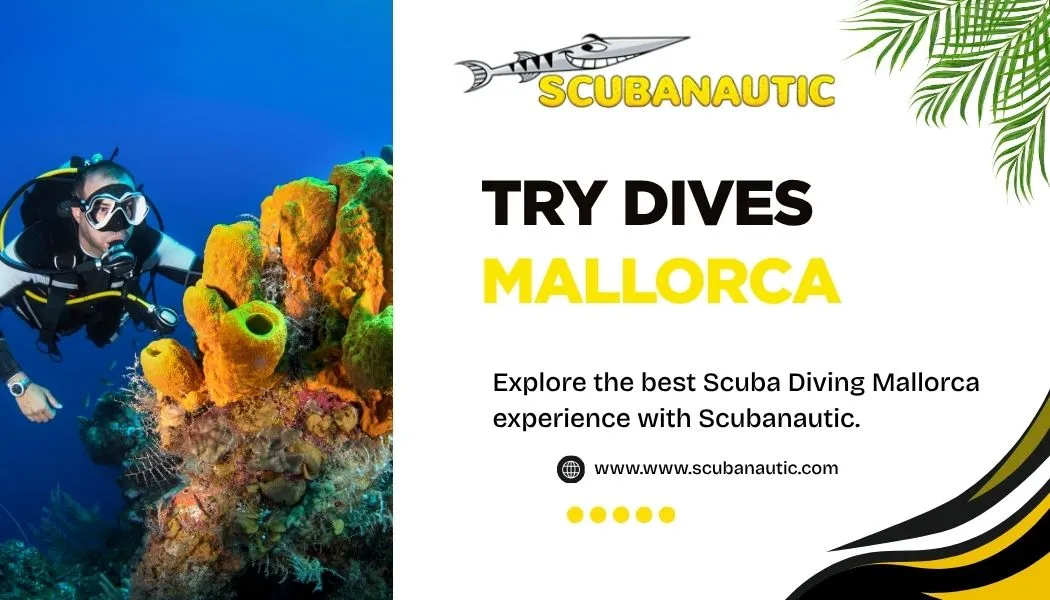Best Diving Courses in Mallorca for Families and Couples