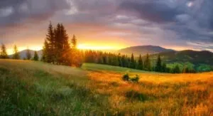 How Feminist Therapy in Washington Helps Create Meaningful Emotional Healing