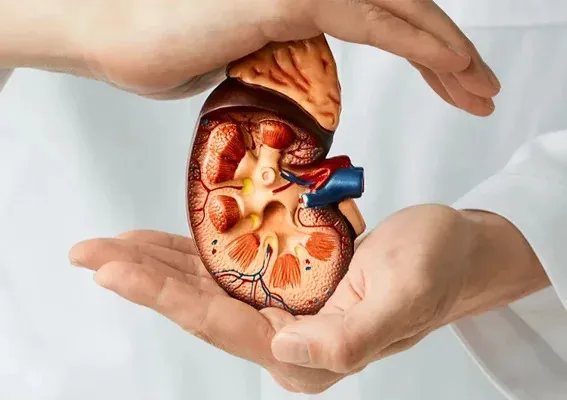 Kidney Cancer Treatment in Gurgaon