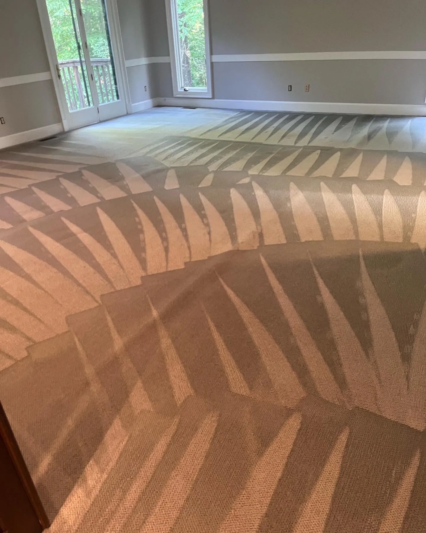 What Is the Best Steam Cleaning Silver Spring Choice for Refreshing Carpets After Rainy Weather?