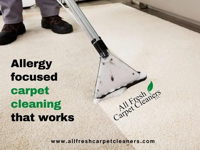 How Long Does Professional Carpet Cleaning Really Last?
