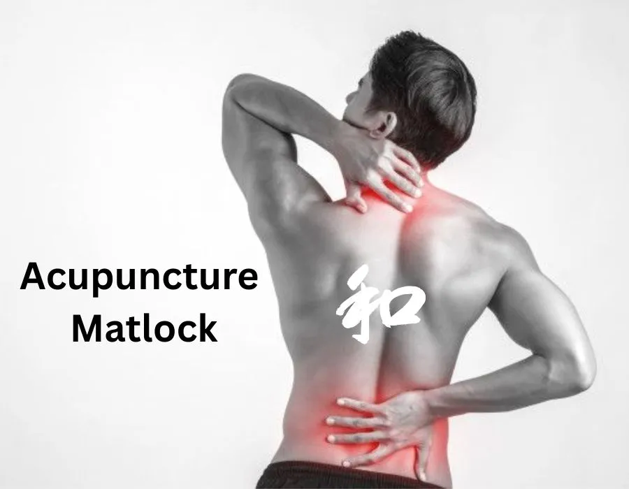 5 Ways Traditional Chinese Medicine Supports Natural Healing