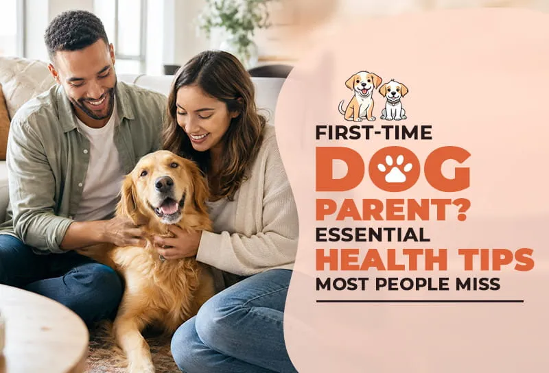 First-Time Dog Parent? Essential Health Tips Most People Miss