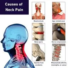 Why Physiotherapy Is Effective For Neck Pain In Calgary NW