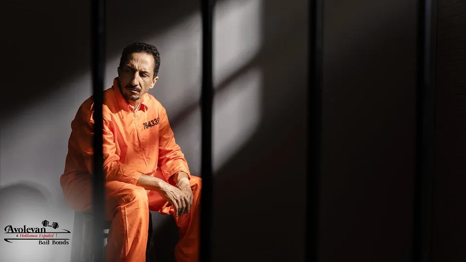 Surety Bond Los Angeles: 7 Things Families Must Know Before Calling a Bail Bondsman