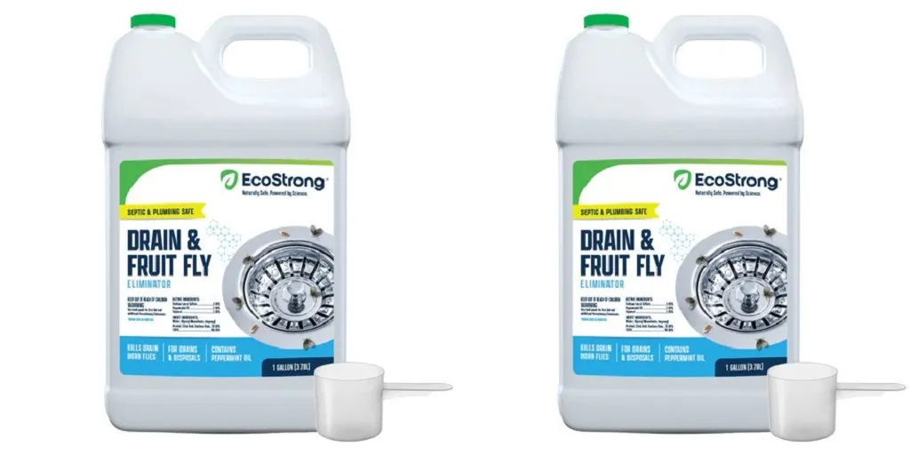 Understanding the Causes of Drain Fly and Drain Bug Infestations