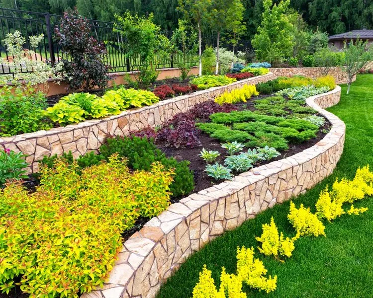 Garden Care Services Canberra for Beautiful Outdoor Spaces