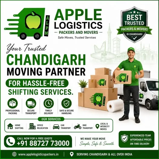 DIY vs Professional Packing What's Better for Chandigarh Residents?