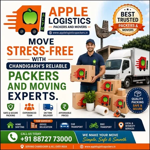 DIY vs Professional Packing What's Better for Chandigarh Residents?