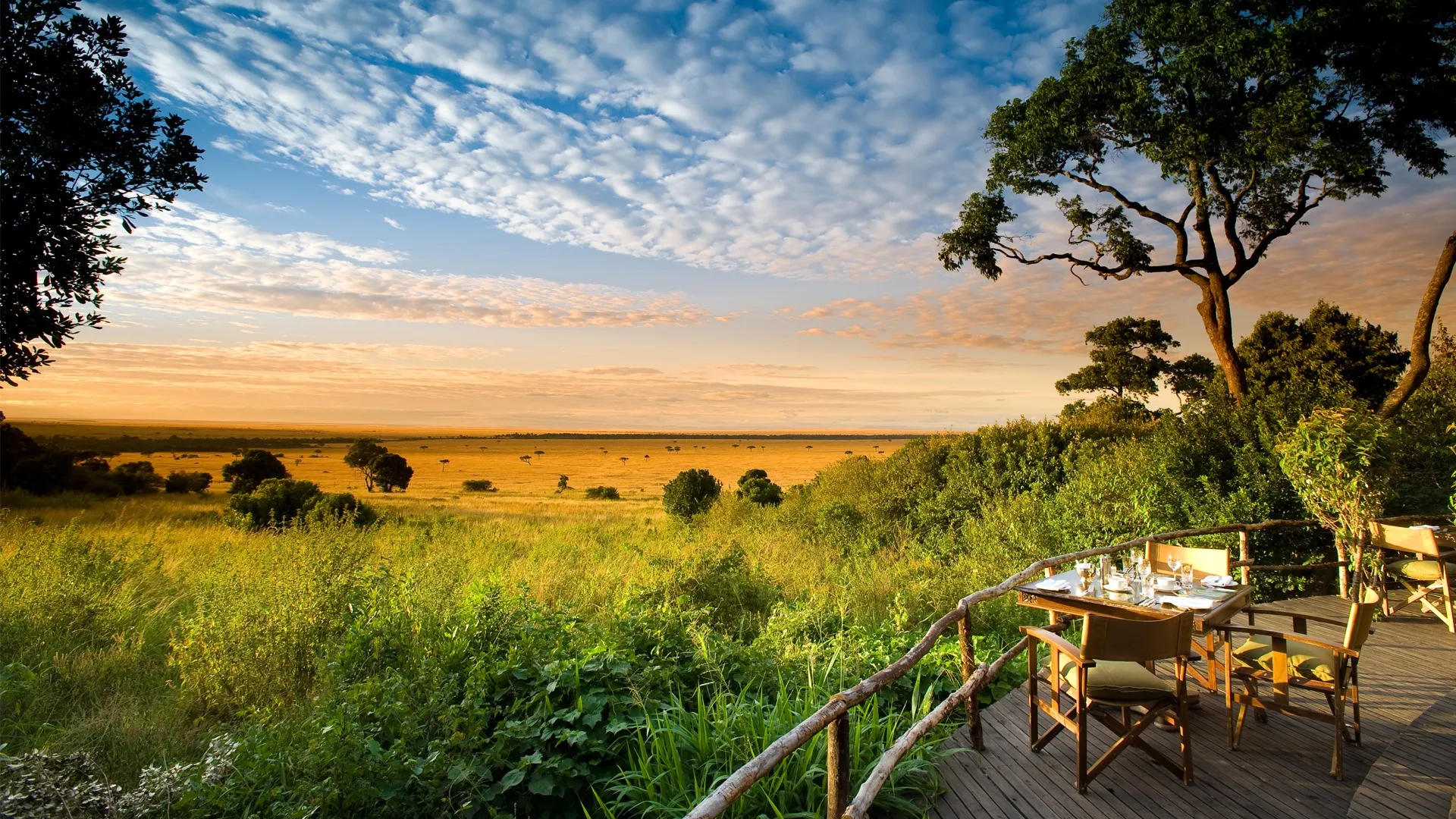 Discover Wild Africa with Amazing Kenya Safari Packages