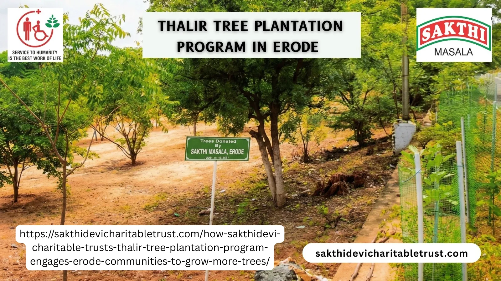 How the Thalir Tree Plantation Program in Erode is Building a Greener Future
