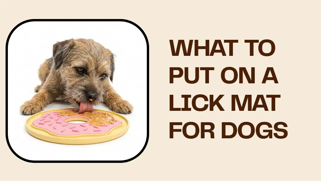 What to Put on a Lick Mat for Dogs: 35 Safe Healthy Ideas