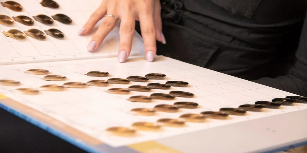 How Top-Rated Salons in Miami Create a Better Client Experience
