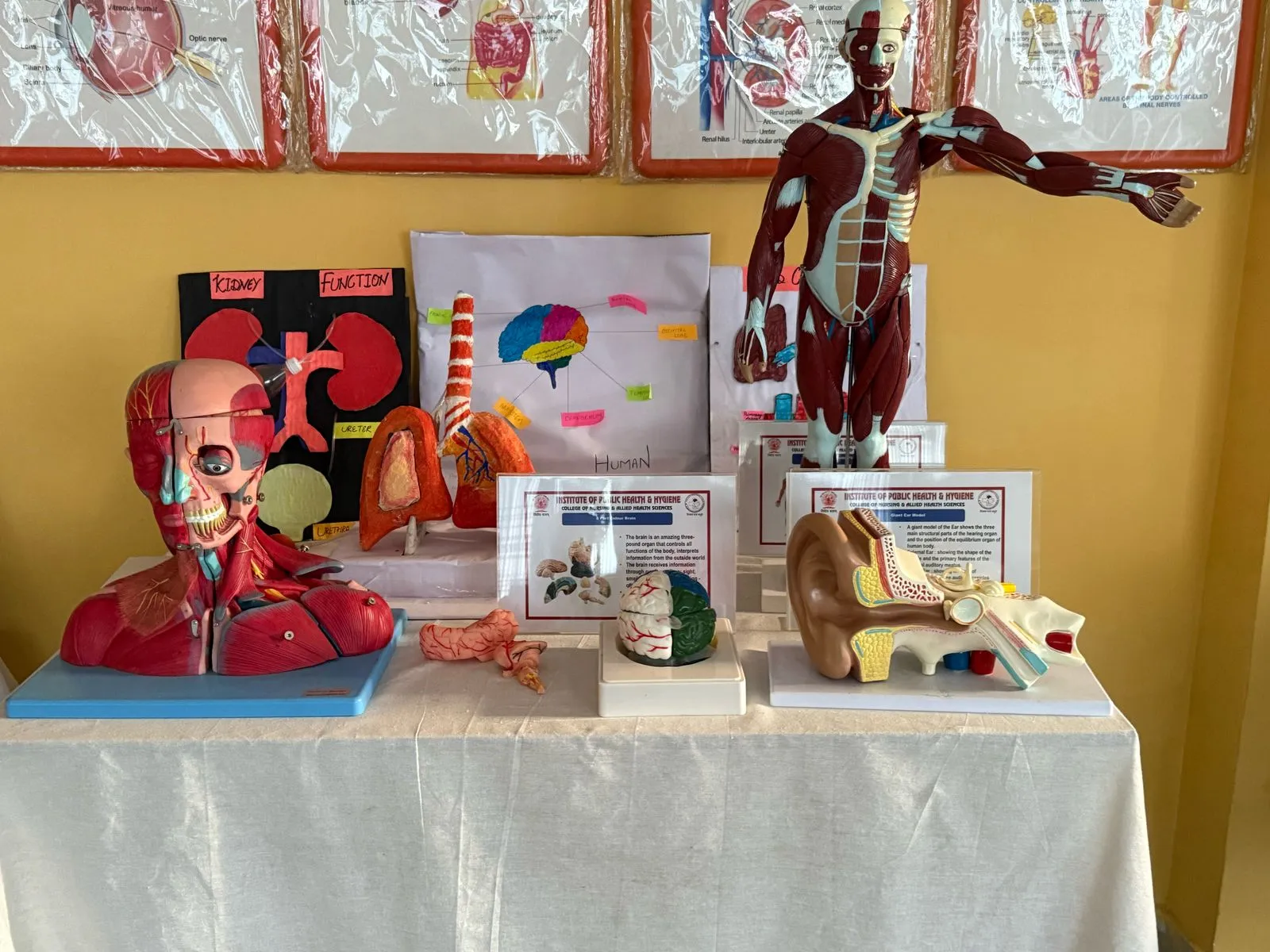 The Foundation of Clinical Excellence: Nursing Skills Lab Setup in Andhra Pradesh