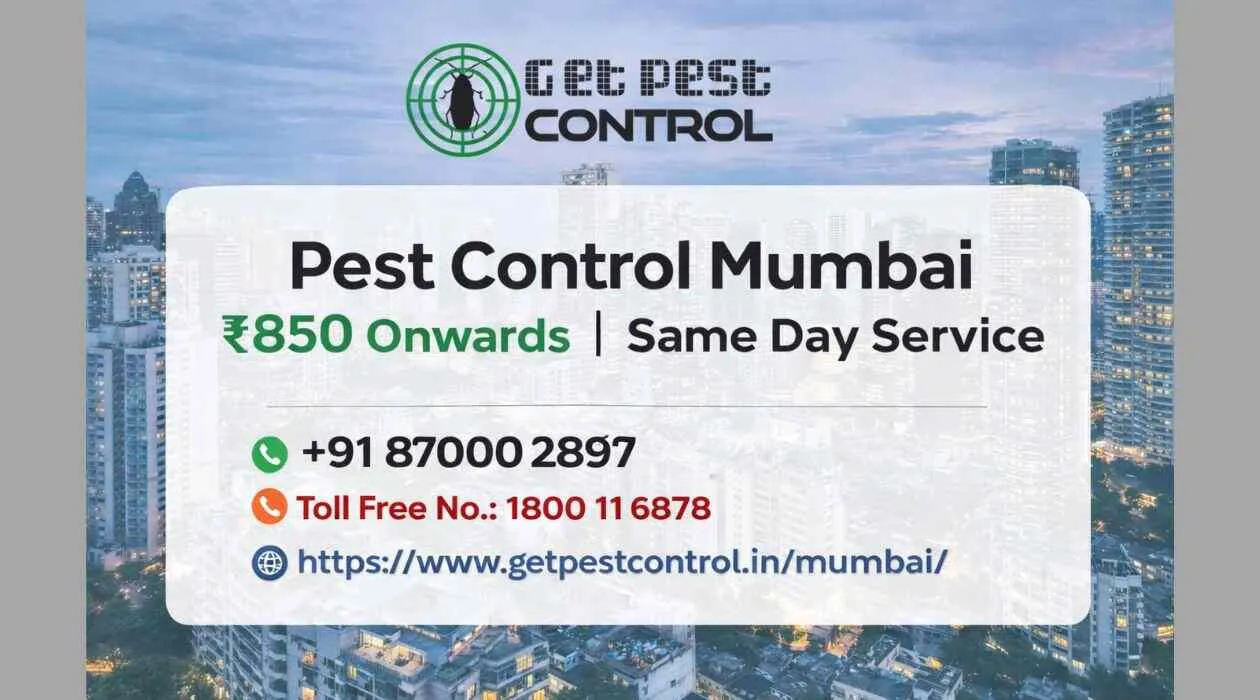 Pest Control Services in Mumbai | Free Inspection & Quotes