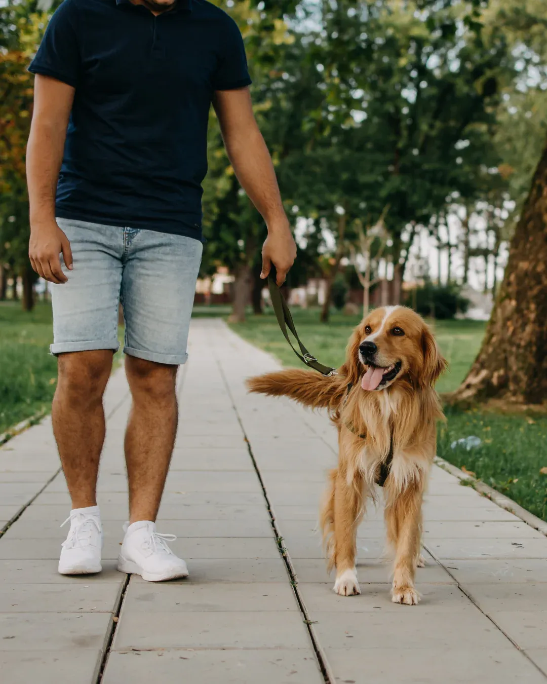 How a Long Dog Leash Supports Better Dog Training