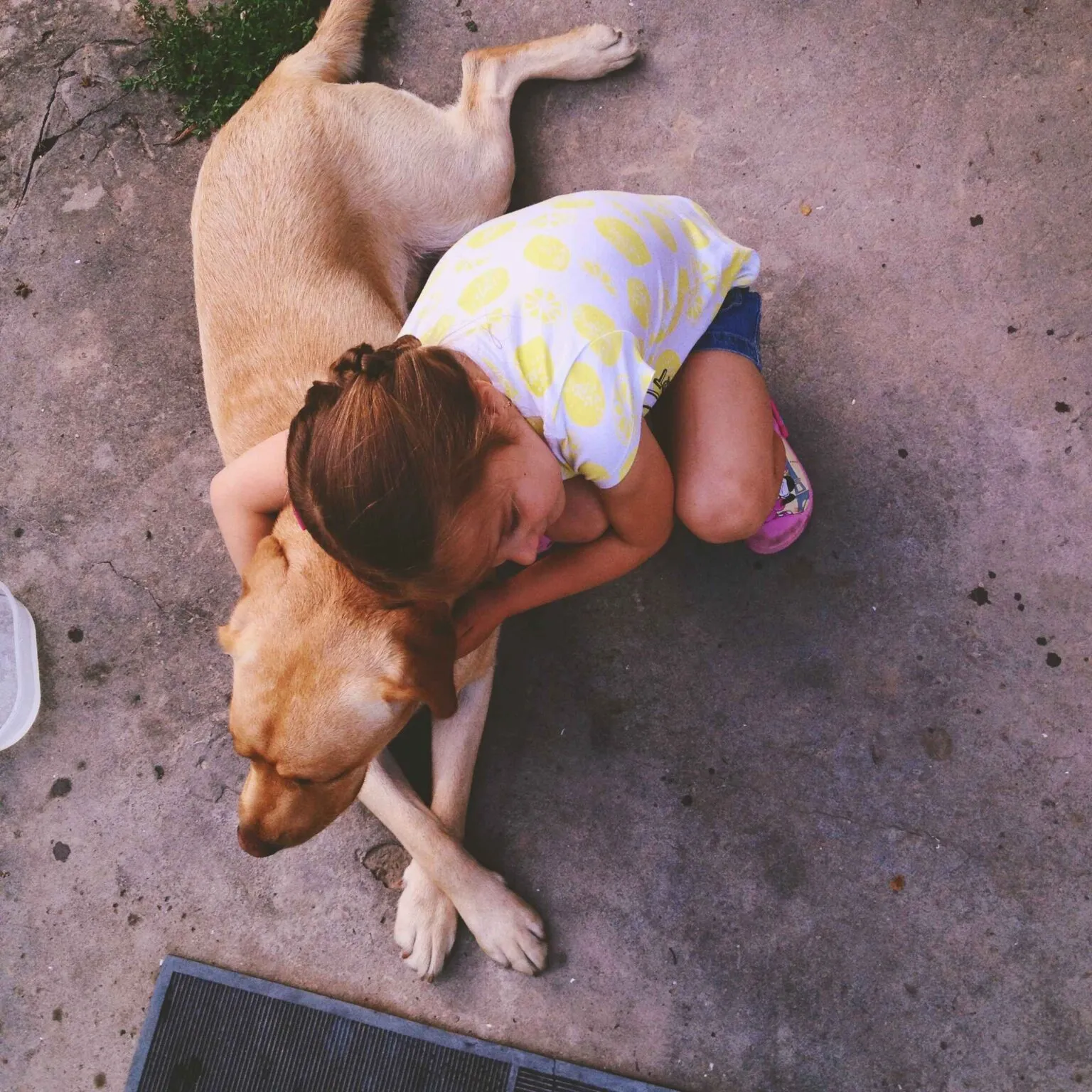 What Services Can You Expect from a Vet in Conroe TX