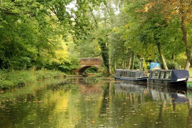 12 Things to Do in Basingstoke for Families, Couples & Ones