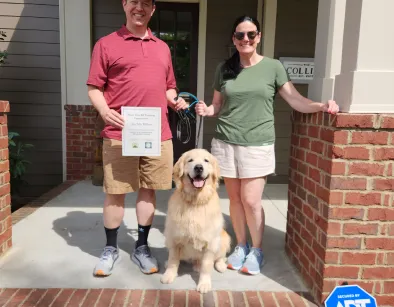 Why Professional Dog Training Matters?